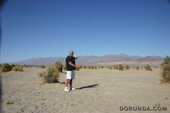 131025GDDevilsCornfieldDeathValleyCA8546.jpg (56846 bytes)
