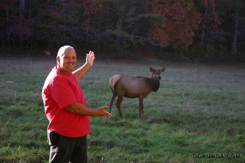 141017GDElkSmokyMountainsNC9962.JPG (112325 bytes)